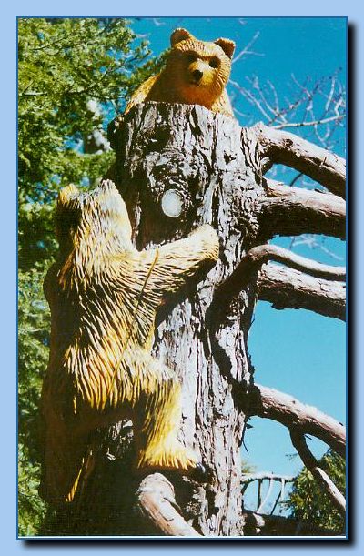 2-39 bears attached to tree-archive-0013